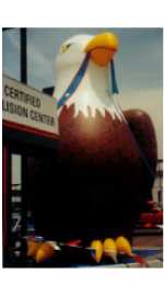 Eagle